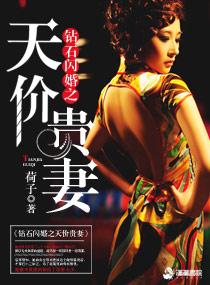 钻石闪婚之天价贵妻/荷子