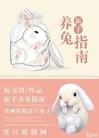养兔新手须知
