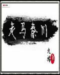 走马秦川尘土里猜生肖