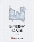 中国影视器材公司