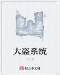 大盗在线阅读