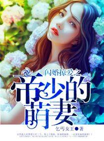 闪婚撩人帝少宠妻入骨