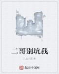 大哥别说二哥了