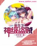 重生之神偷系统