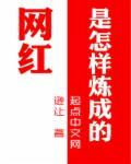 网红是怎么打造的