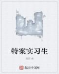 特案实录