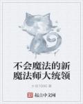 不会魔法的老师的动漫