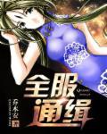 全服通缉破解版清软