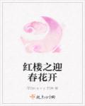 红楼之迎春的棋子空间