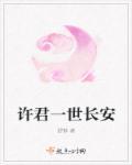 许君一生系长安免费阅读