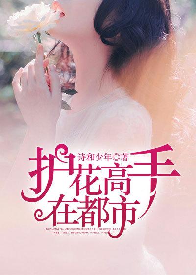 护花高手在都市人物