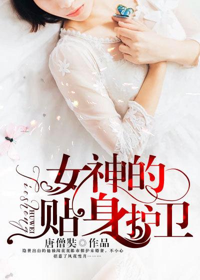 女神的贴身护卫高手