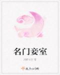 贵女小妾