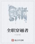 穿越全职高手大全