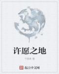 许愿之地收集汪汪毛线