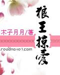 狼王全文