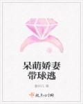 呆萌甜妻太迷人免费阅读