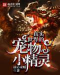 宠物小精灵在现实世界的