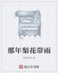 梨花带雨什么歌曲