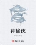 神偷侠盗电影完整版
