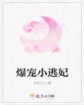 爆宠小王妃漫画下拉式免费
