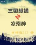 三国纵横之凉州辞免费