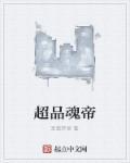 魂帝至尊免费阅读