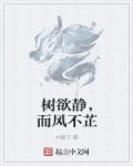 树欲静而风不止 下联