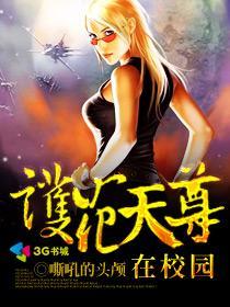 护花天尊在校园未删减