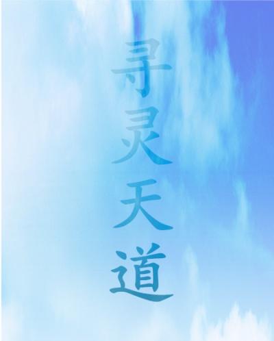 寻灵游戏