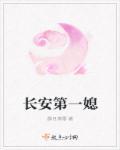 长安第一美人全文免费阅读 无重复