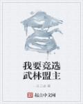 争夺武林盟主