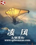 凌风主角