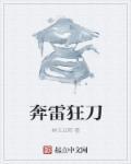 奔雷刀法哪里买