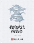 我给武技换装备的游戏