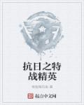 抗日之特战精英队txt