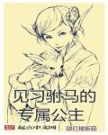 驸马做了公主