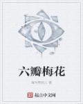 六片梅花顶的画法