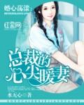 婚心荡漾总裁大人套路深
