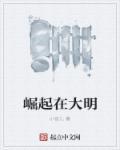 崛起在大明小官儿
