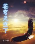 苍穹的天空是什么意思