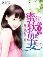 蜜汁萌妻