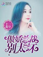 傲娇总裁别理我全文免费
