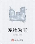 宠物王妃免费阅读