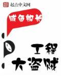 魔兽世界怀旧服盗贼工程选什么好