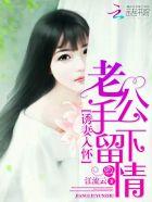 诱妻入怀老公手下留情电子书