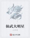 仙武大明星好看吗