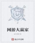 大赢家手游