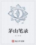 茅山纪录片视频