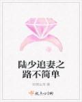 陆少追妻套路深